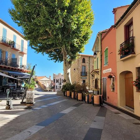 Chambre Climatisee Entre Mer Et Montagne, Avec Sdb Et Wc Privatifs Laroque-des-Albères 外观 照片